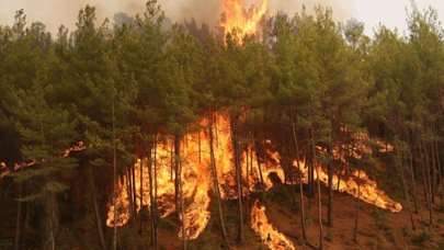 AFAD: Orman yangını çıkan 5 kente 62,5 milyon TL yardım gönderildi