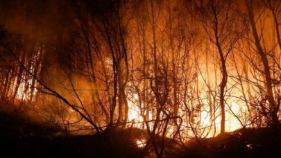 İletişim Başkanı Fahrettin Altun: 147 yangın kontrol altına alındı