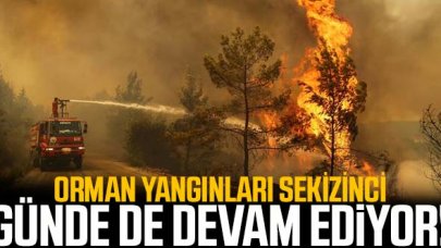 Orman yangınlarında 8'inci gün: 6 ilde 11 yangın sürüyor