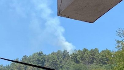 Beykoz'da ormanlık alanda yangın