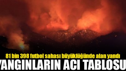 Orman yangınlarında 81 bin 398 futbol sahası büyüklüğünde alan yandı