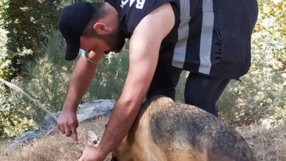 Yangın görevlisi  Gökhan Yılmaz yemeğini köpekle paylaştı 