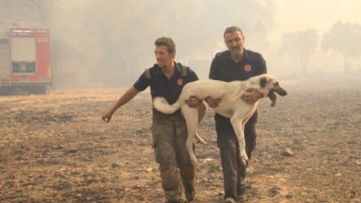 İBB Manavgat'ta alevlere savaş açtı
