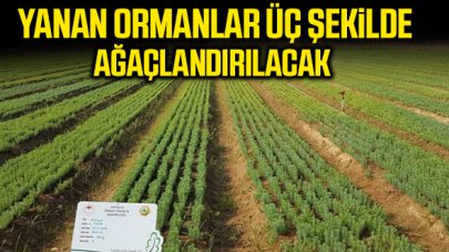 İbrahim Yüzer: Ateş söner sönmez bütün ekiplerimiz ile sahada bir arazi çalışması başlatacağız