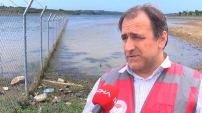 İstanbul'da balık ve yengeç ölümlerinin nedeni belli oldu