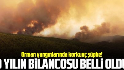 Orman yangınlarında korkunç şüphe! 9 yıllık bilanço ortaya çıktı