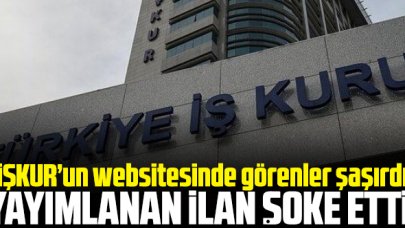 İŞKUR'un websitesindeki cumhurbaşkanı ve başbakan kategorileri şoke etti!