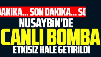 Mardin Nusaybin'de canlı bomba etkisiz hale getirildi