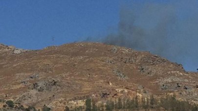 Bodrum'da makilik ve otluk alanda yangın