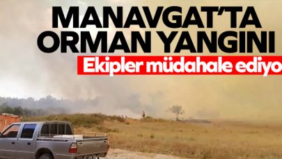 Manavgat'ta orman yangını