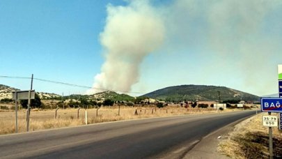 Foça'da orman yangını 