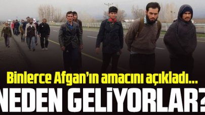 Binlerce Afganistanlı neden Türkiye'ye geliyor? O isim açıkladı...
