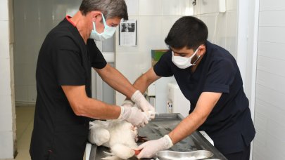 Leyleğe belediye sahip çıktı