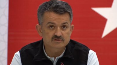 Köyceğiz yangını kontrol altında