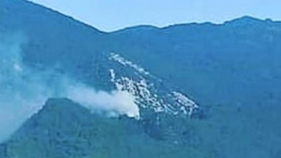Kazdağları'nda orman yangını