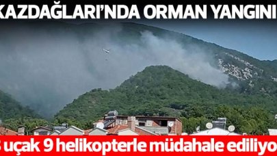 Kazdağları'nda orman yangını