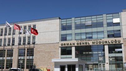 Orman Genel Müdürlüğü'nden açıklama: Havadan ve karadan müdahalelerimiz devam ediyor