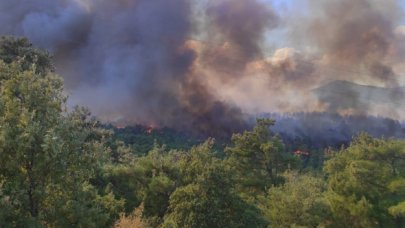 Çanakkale'de orman yangını