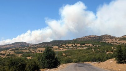 Bingöl'deki orman yangını kontrol altında