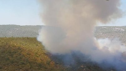 Milas'ta orman yangını