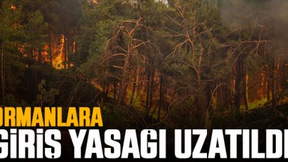 Antalya'da ormanlara giriş yasağı uzatıldı
