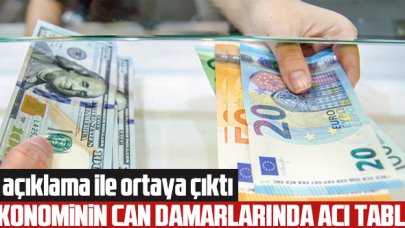 Merkez Bankası'nın açıklamasıyla ortaya çıktı: Dolar ve euroda acı gerçek