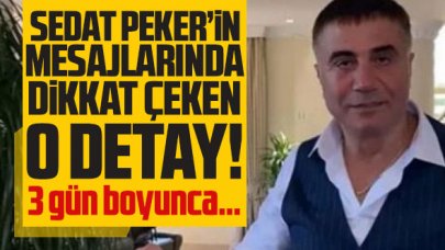 Sedat Peker'in Twitter hesabında dikkat çeken o detay! 3 gün boyunca...