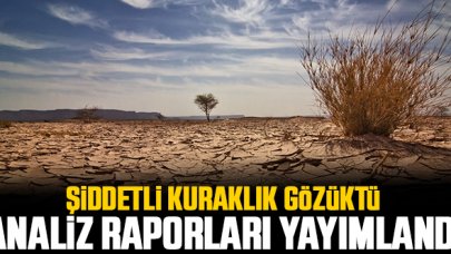 Analiz raporları yayımlandı; ağustos ayı 'şiddetli kurak' yaşandı