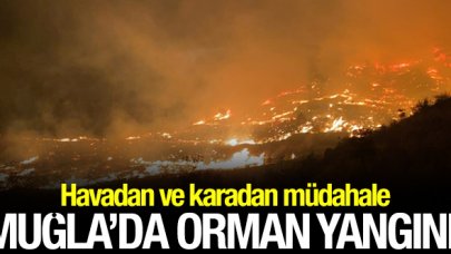 Muğla'da orman yangını! Havadan ve karadan müdahalede bulunuluyor