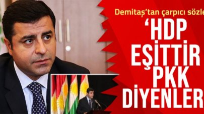 Selahattin Demirtaş'tan flaş sözler: HDP eşittir PKK diyenler...