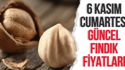 6 Kasım 2021 Cumartesi fındık fiyatları | Fındık kaç lira? Güncel fındık fiyatı