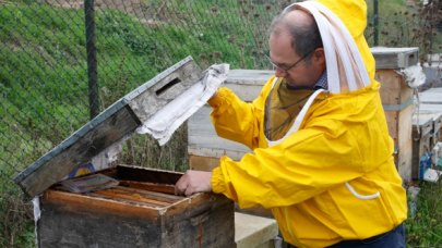 Arılar ölüyor üretim düşüyor