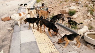 Bu genelgeyle sorun çözülmez