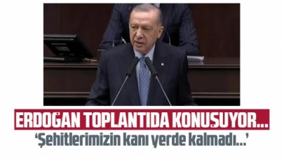 Cumhurbaşkanı Recep Tayyip Erdoğan'dan kritik açıklamalar