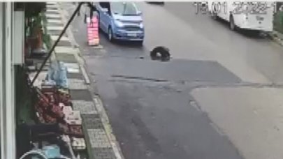 Maltepe’de arızalanan aracını kontrol ederken otobüs çarptı