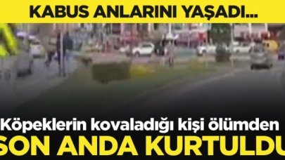 Esenyurt'ta köpeklerin kovaladığı kişi, otomobil altında kalmaktan son anda kurtuldu