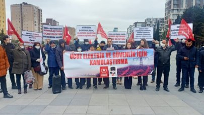 Elektrikte özel sermaye olmamalı