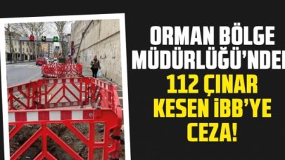 112 çınar kesen İBB'ye ceza!