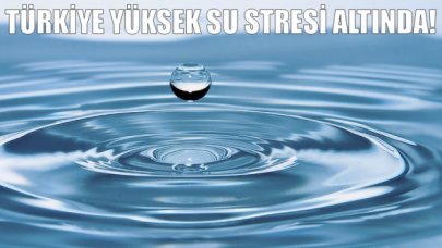 'Türkiye, yüksek su stresi altında'
