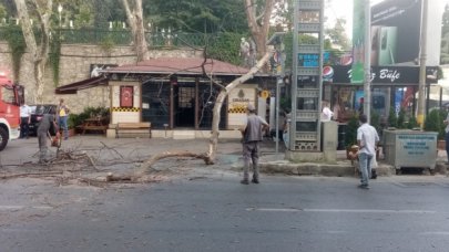 TEMA: Tek çare kesmek!