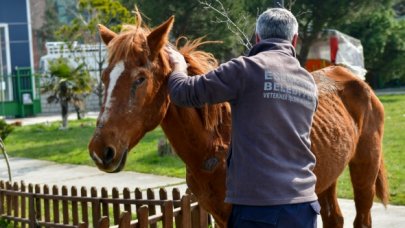 Yaralı olarak sokağa atmışlar