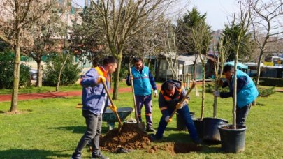 Onlarca ağaç dikildi