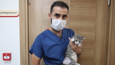 620 hayvan tedavi edildi