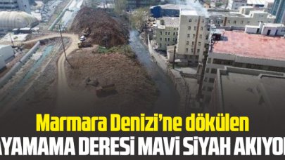 Marmara Denizi'ne dökülen Ayamama deresi mavi ve siyah akıyor