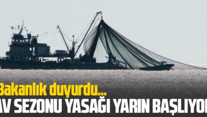 '2021- 2022 balıkçılık av sezonu yasağı' yarın başlıyor