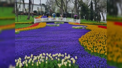 Lale Bayramı coşkuyla kutlanacak