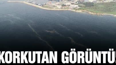 Marmara Denizi'nde müsilaj her geçen dakika artıyor