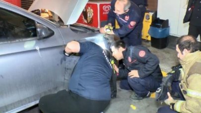 Otomobilin motoruna giren yavru kedinin yolculuğunu itfaiye bitirdi