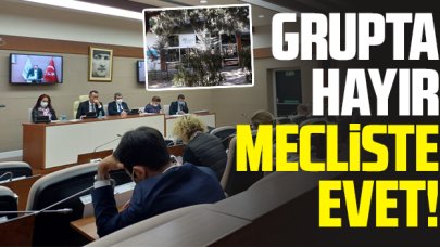 Grupta hayır mecliste evet