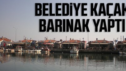 Belediye kaçak barınak yaptı